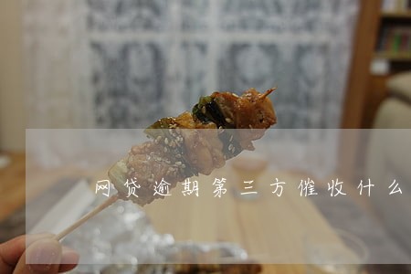 网贷逾期第三方催收什么意思 网贷逾期第三方催收什么意思
