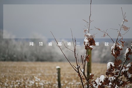网贷逾期第三方催款 网贷逾期第三方催款