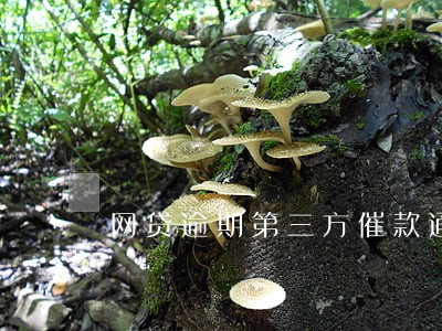 网贷逾期第三方催款通话 网贷逾期第三方催款通话