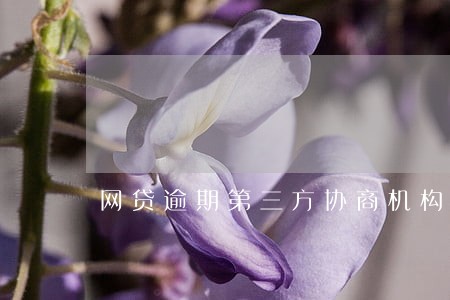 网贷逾期第三方协商机构 网贷逾期第三方协商机构