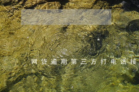 网贷逾期第三方打电话接吗 网贷逾期第三方打电话接吗