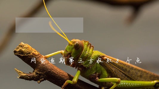 网贷逾期第三方收取8个点 网贷逾期第三方收取8个点