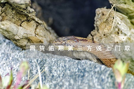 网贷逾期第三方说上门取证