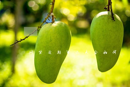 网贷逾期第二天会如何 网贷逾期第二天会如何