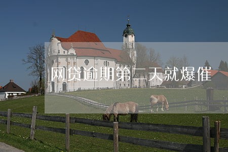 网贷逾期第二天就爆催 网贷逾期第二天就爆催