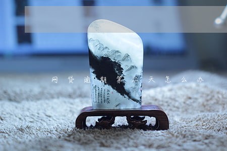 网贷逾期第二天怎么办 网贷逾期第二天怎么办
