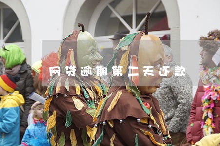 网贷逾期第二天还款 网贷逾期第二天还款