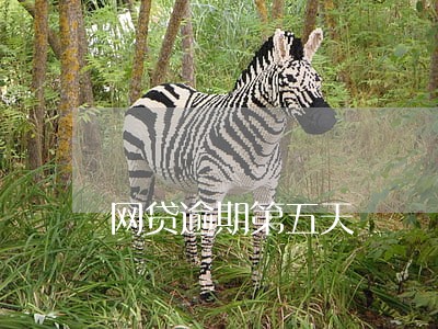 网贷逾期第五天 网贷逾期第五天