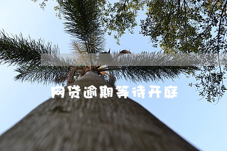 网贷逾期等待开庭 网贷逾期等待开庭