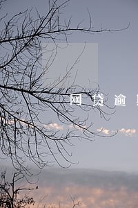网贷逾期等级区分 网贷逾期等级区分