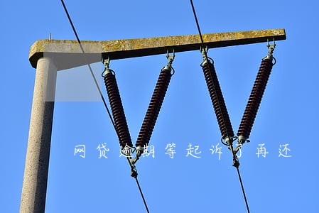 网贷逾期等起诉了再还