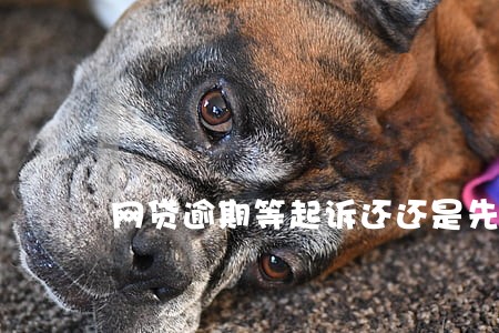 网贷逾期等起诉还还是先协商还 网贷逾期等起诉还还是先协商还