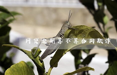 网贷逾期算不算合同欺诈 网贷逾期算不算合同欺诈
