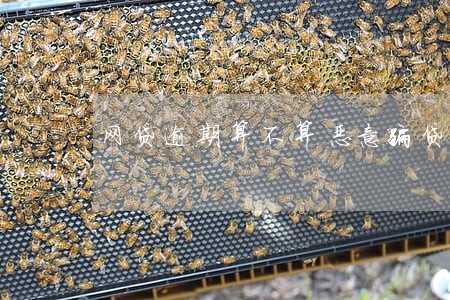 网贷逾期算不算恶意骗贷 网贷逾期算不算恶意骗贷
