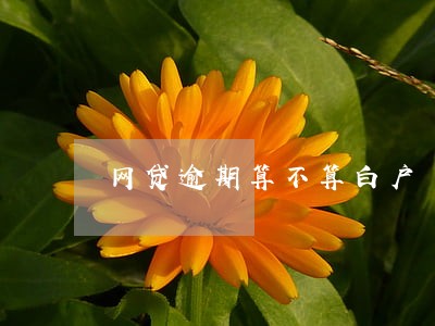 网贷逾期算不算白户 网贷逾期算不算白户