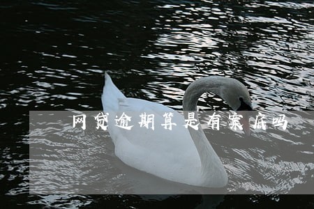 网贷逾期算是有案底吗 网贷逾期算是有案底吗