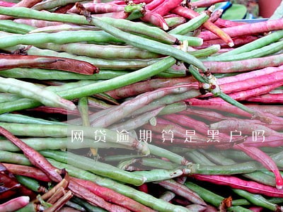 网贷逾期算是黑户吗