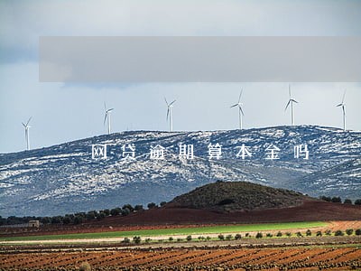 网贷逾期算本金吗 网贷逾期算本金吗