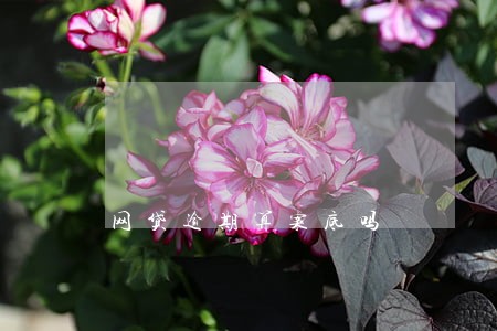网贷逾期算案底吗 网贷逾期算案底吗