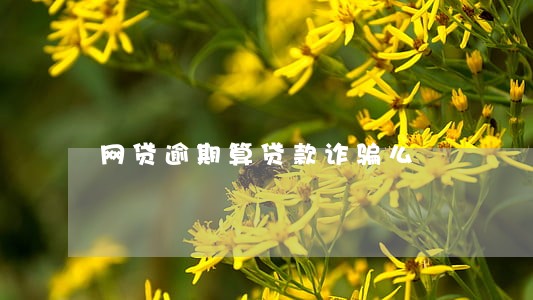 网贷逾期算贷款诈骗么