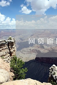 网贷逾期算违法失信吗 网贷逾期算违法失信吗