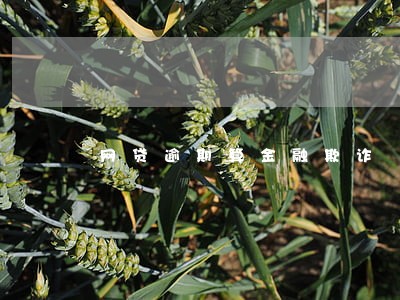 网贷逾期算金融欺诈 网贷逾期算金融欺诈