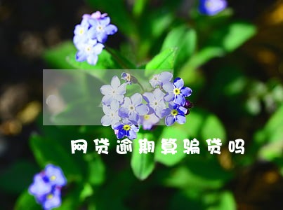网贷逾期算骗贷吗