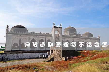 网贷逾期管理费不给会怎么样 网贷逾期管理费不给会怎么样