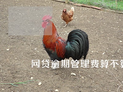网贷逾期管理费算不算利息 网贷逾期管理费算不算利息
