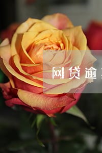 网贷逾期管辖权问题 网贷逾期管辖权问题
