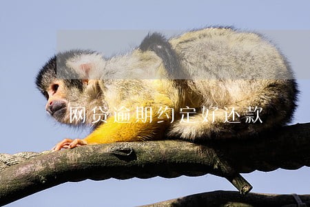 网贷逾期约定好还款 网贷逾期约定好还款
