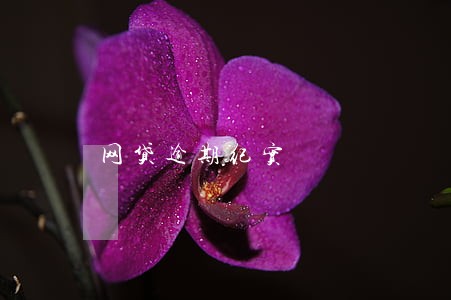 网贷逾期纪实 网贷逾期纪实
