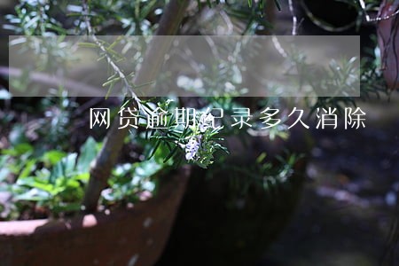 网贷逾期纪录多久消除 网贷逾期纪录多久消除