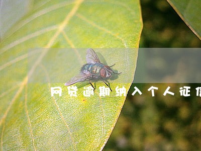 网贷逾期纳入个人征信吗 网贷逾期纳入个人征信吗