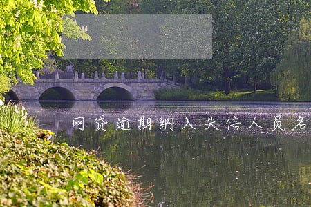 网贷逾期纳入失信人员名单 网贷逾期纳入失信人员名单