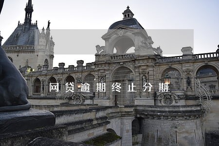 网贷逾期终止分期 网贷逾期终止分期