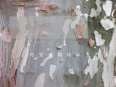 网贷逾期终止合同有什么后果 网贷逾期终止合同有什么后果