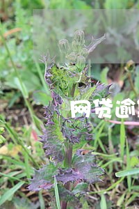 网贷逾期经侦冻结账户 网贷逾期经侦冻结账户