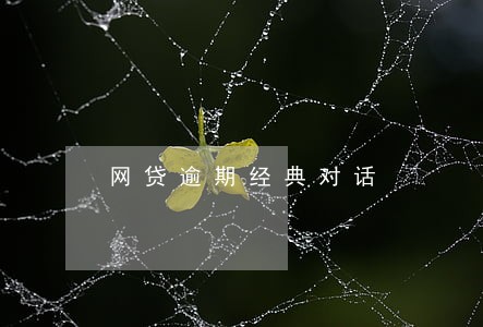 网贷逾期经典对话 网贷逾期经典对话