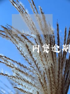 网贷逾期经历的过程 网贷逾期经历的过程