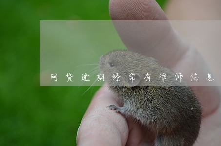 网贷逾期经常有律师信息 网贷逾期经常有律师信息