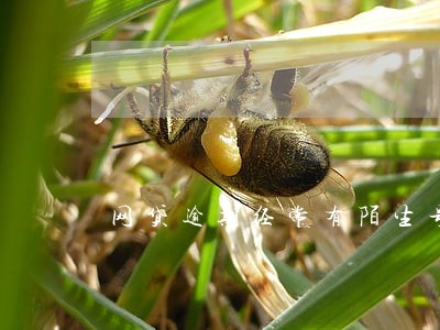 网贷逾期经常有陌生号码发信息 网贷逾期经常有陌生号码发信息