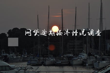 网贷逾期经济情况调查 网贷逾期经济情况调查