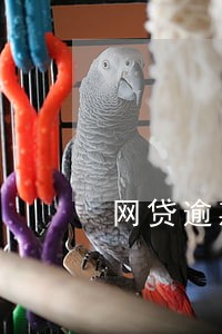 网贷逾期绑卡是否会自动扣款 网贷逾期绑卡是否会自动扣款