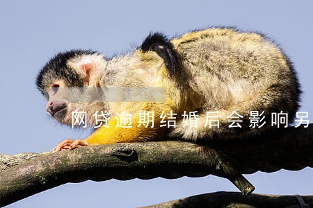 网贷逾期结婚后会影响另一半吗 网贷逾期结婚后会影响另一半吗