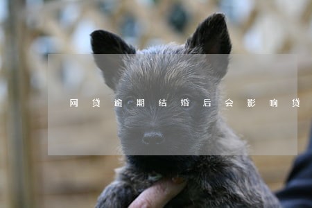 网贷逾期结婚后会影响贷款吗 网贷逾期结婚后会影响贷款吗