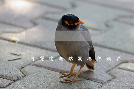网贷逾期结案冻结账户 网贷逾期结案冻结账户