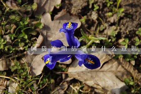 网贷逾期结案是什么意思 网贷逾期结案是什么意思