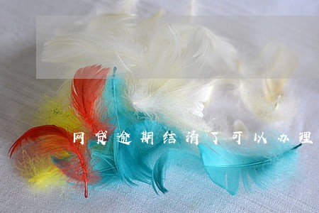 网贷逾期结清了可以办理车贷