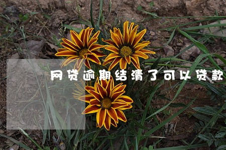 网贷逾期结清了可以贷款吗 网贷逾期结清了可以贷款吗